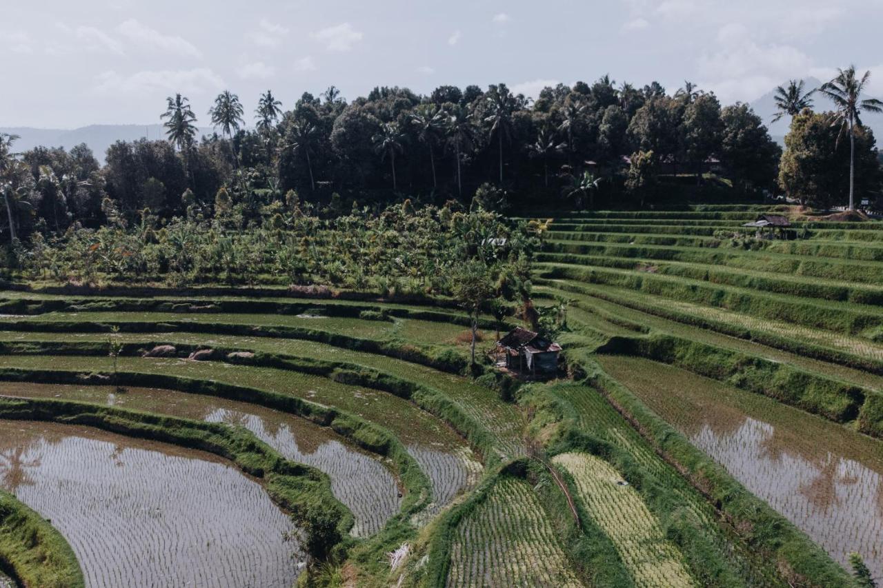 Candra Cottage Munduk  Luaran gambar